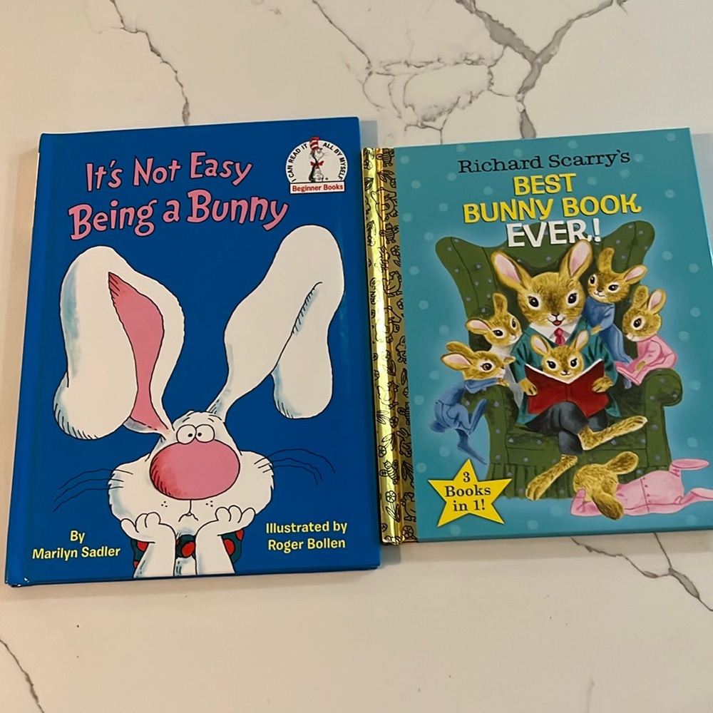 NWT Bundle of 2 Bunny Books